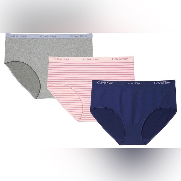 Calvin Klein Underwear Panties Thong Bikini Blue Pink Gray 3 Pack New NWOT - Picture 1 of 4